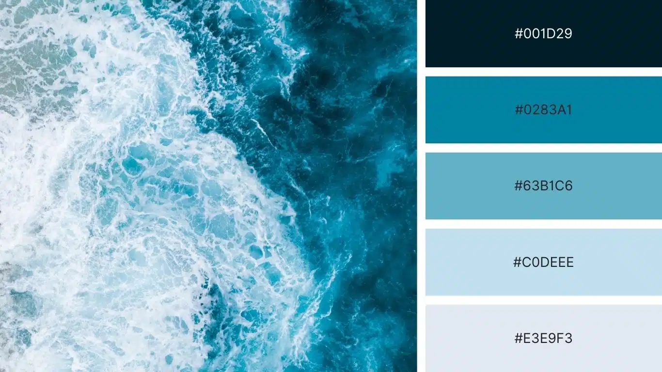 Creating A Balanced Color Palette